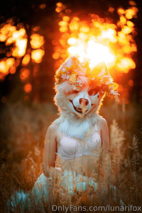 Lunarifox naked star pictures