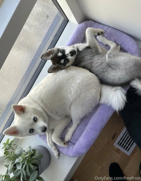 Adeline Frost model xxx pics