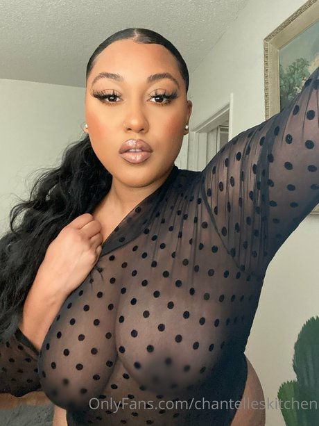 Chantelles Kitchen model art galleries