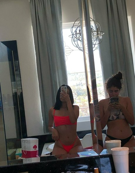 kisabela art star img