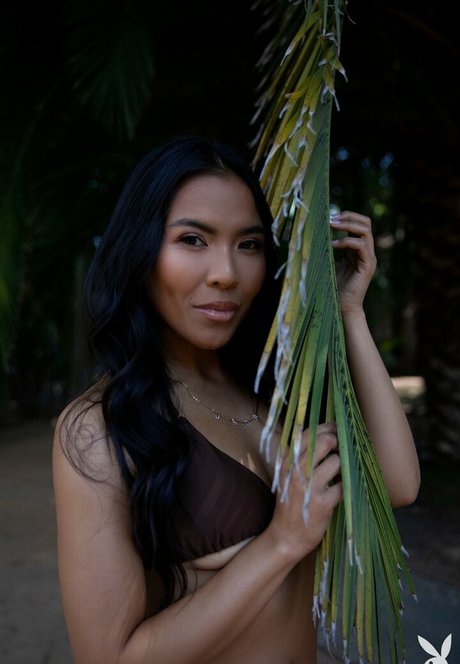 Jada Kai porn model images