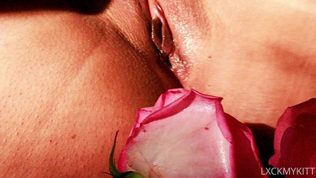 Lxckmykitt model pornographic photo