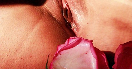 Lxckmykitt porn star image