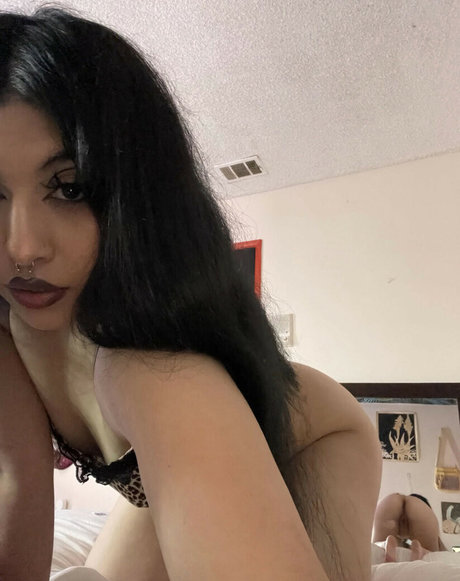 vindigoo pornstar exclusive images