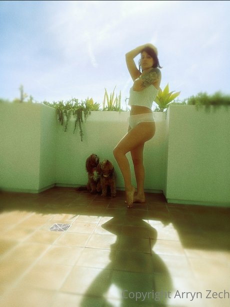 Arryn Zech model img