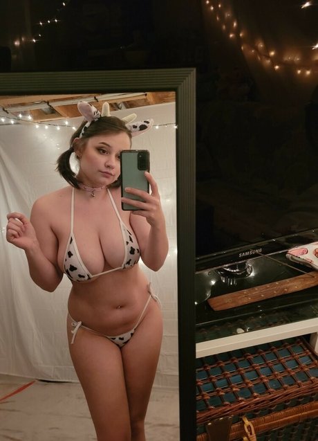 Midnight Vulpi perfect star photos