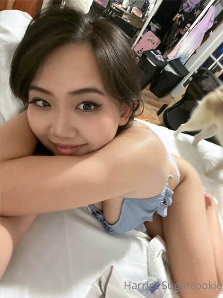 Harriet Sugarcookie art star photos