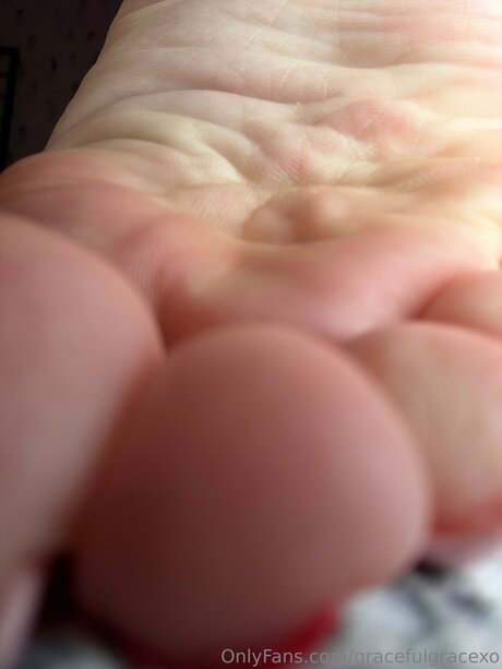 Gracefulgracexo adult star picture