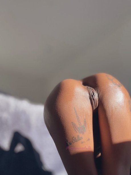 Mini Stalli exclusive model gallery