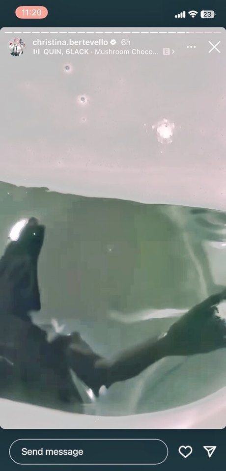 Christina Bertevello star nude image