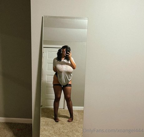 xoangel444 pornstar xxx archive