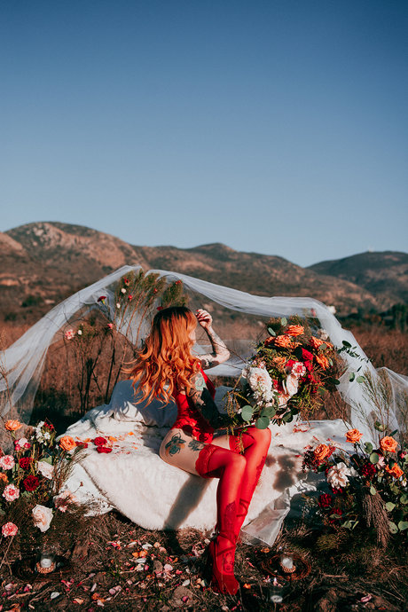 Alysha Nett top pornstar photos