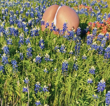 Regina Unite adult actress galleries