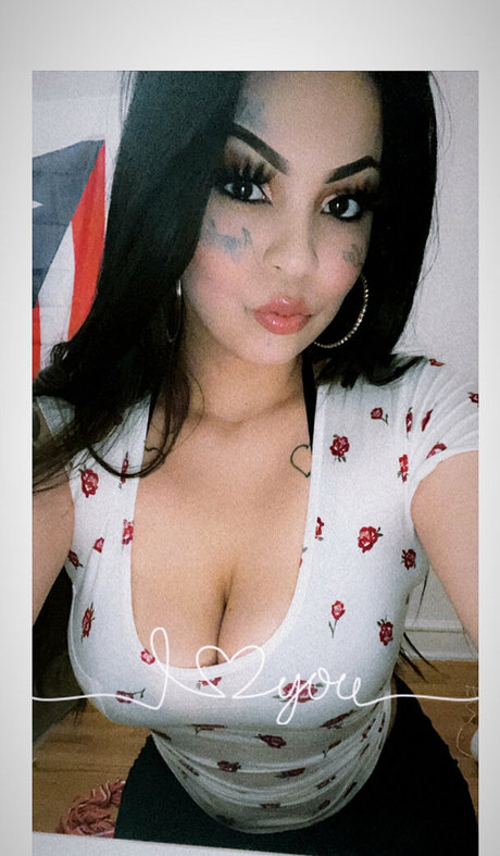 venuschula perfect star archive