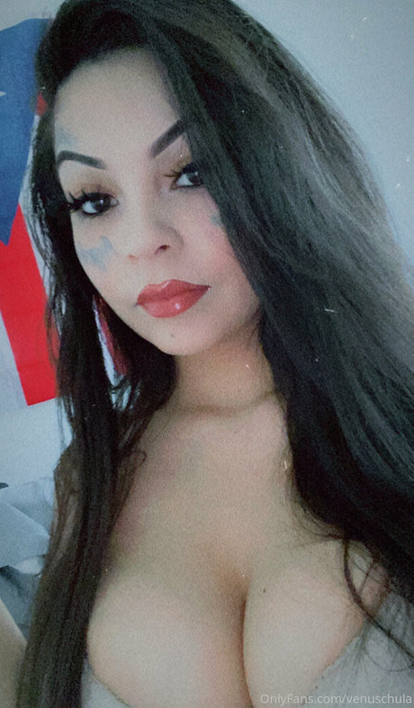 venuschula star beautiful galleries