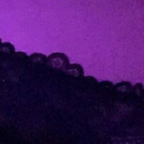 nihsfw top model pic