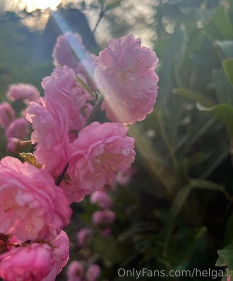 helga1 hot actress img