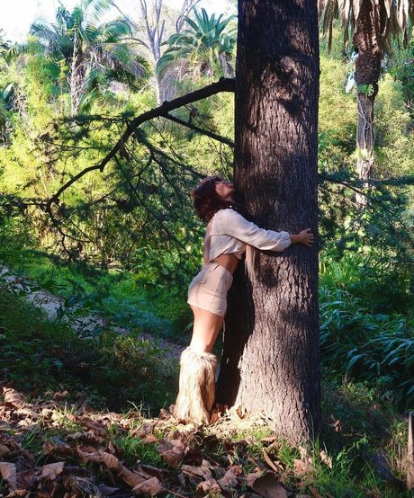 Pasabist star perfect archive