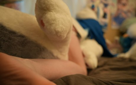 secretnoel star adult pics