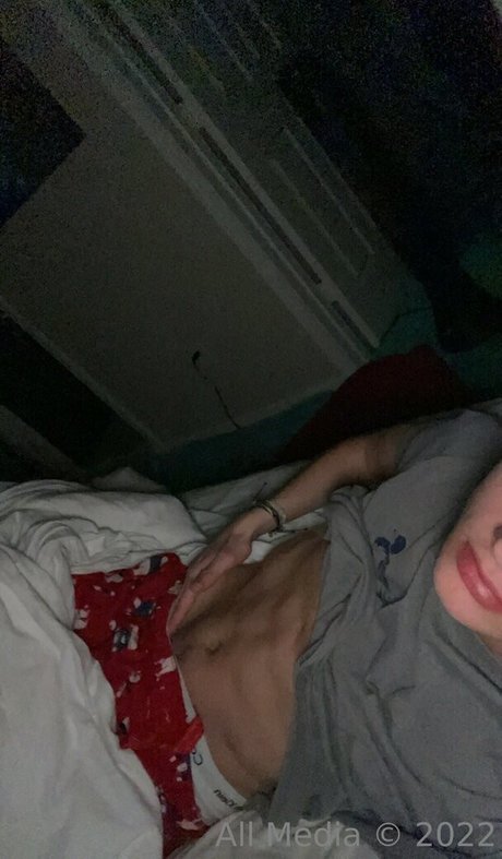 notgavinn art star archive