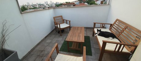 newivy cb free star images