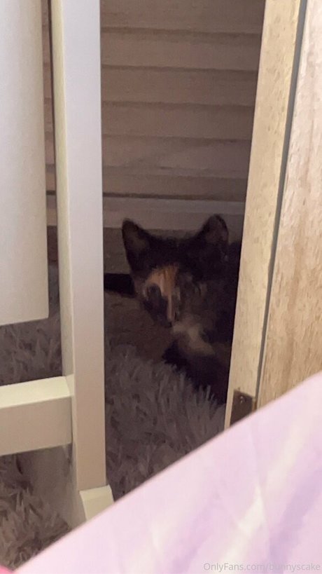 bunnyscake model nude picture