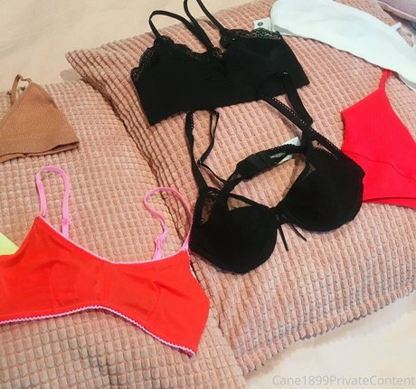 itsmisscane best pornstar picture