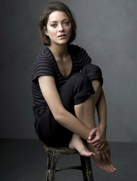 Marion Cotillard adult star images