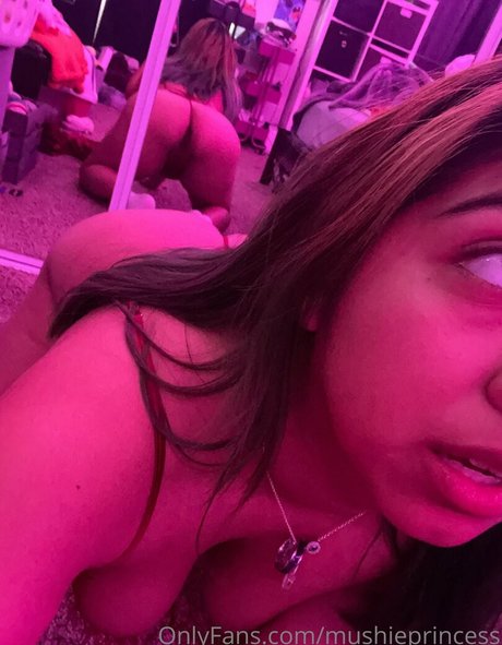 geekie boos exclusive star galleries