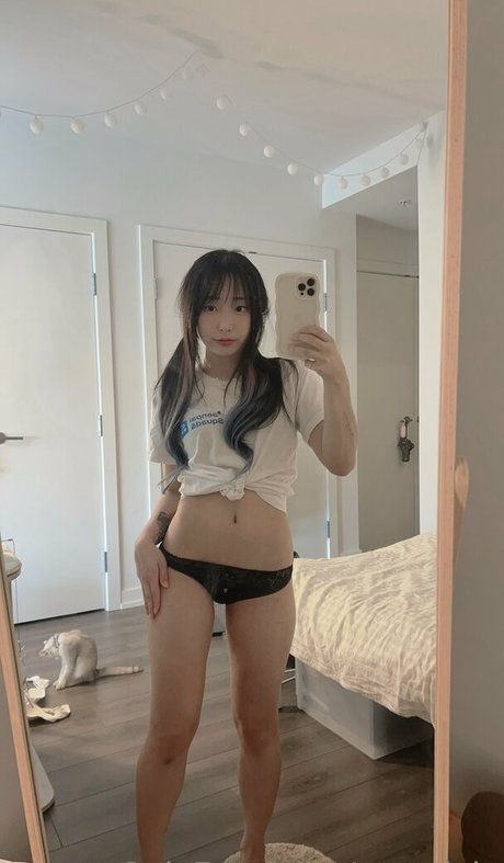 awnnivip beautiful star gallery