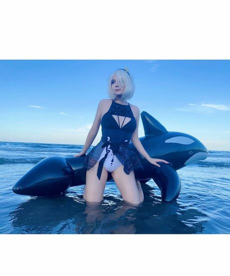 Belhino top model img