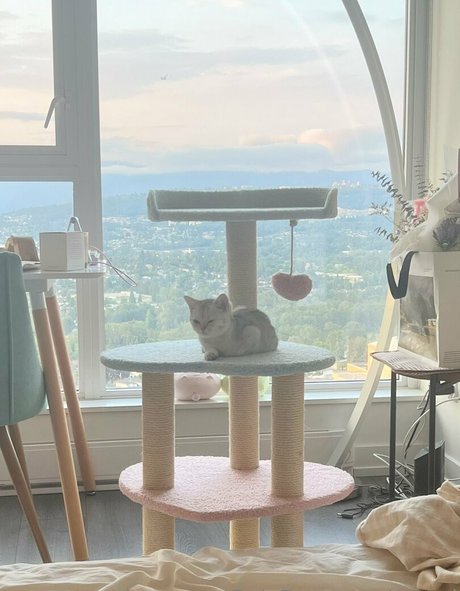 awnni model porn photos