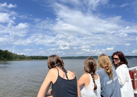 Ilina star free image