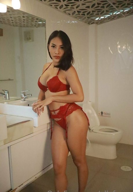 deer boodie art star photos