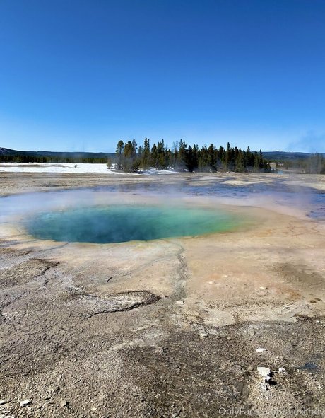 Alexchov actress picture