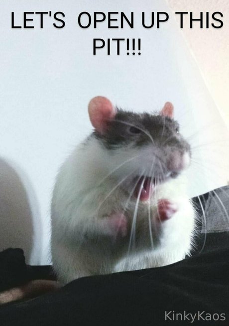 kinkykaoskings model nice pictures