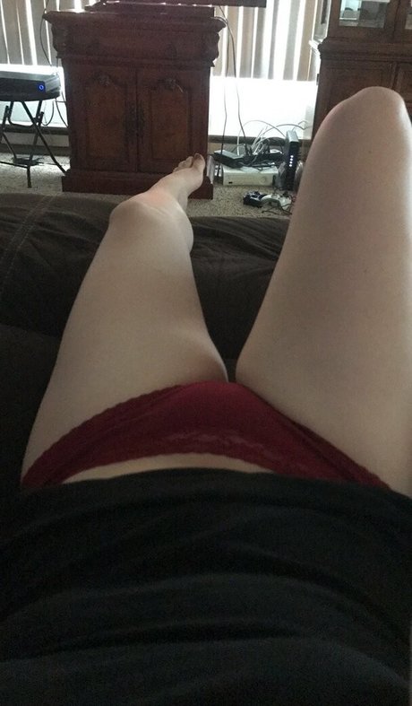 niabugs model free archive