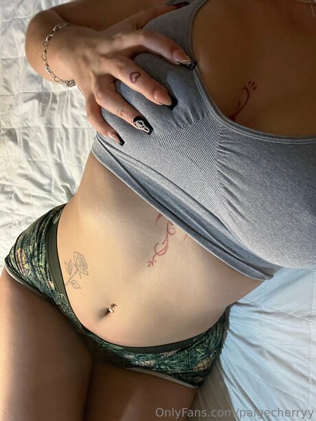 Paigecherryy perfect pornstar image