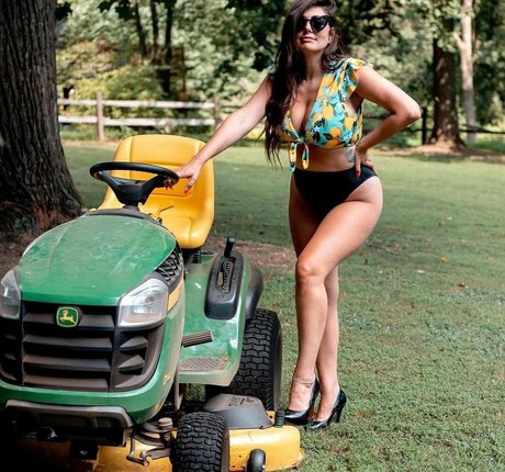 dailyvitaminb star high quality image