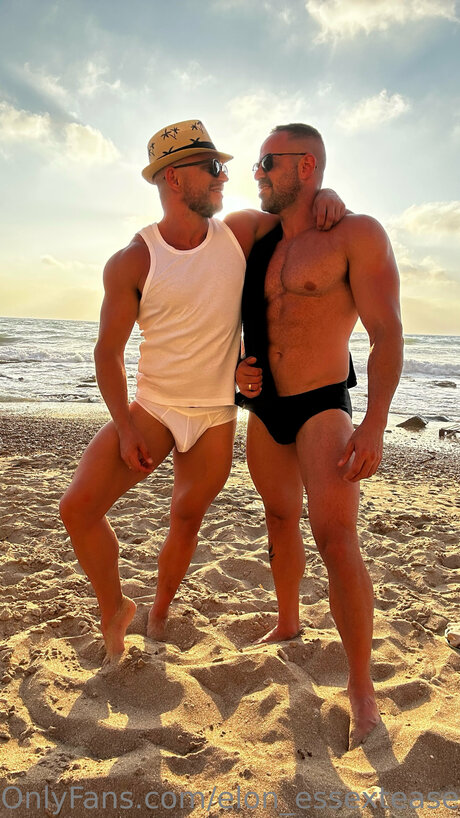 Elon Essexteaser model art images