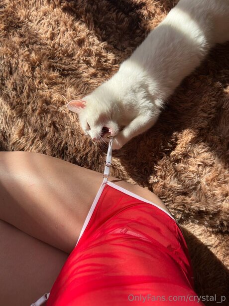 Crystal P model top photos