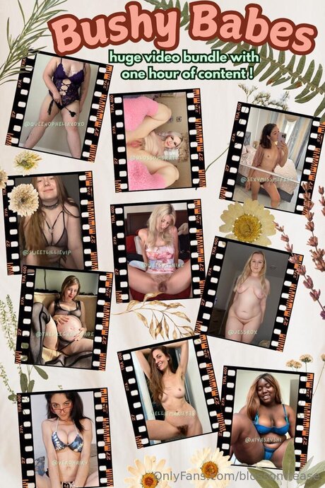 Blossomtease pornstar pretty galleries