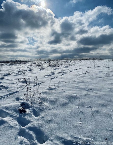 queen rita star free photos