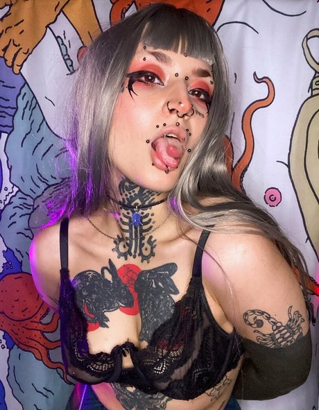 Borderwaifu star high quality pic