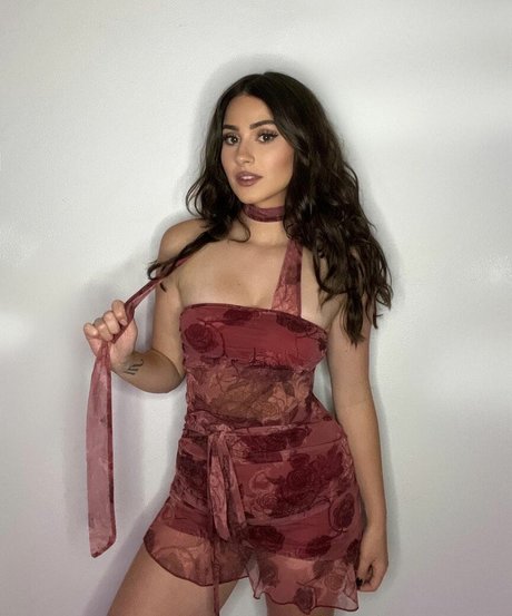 Palmbee top model images