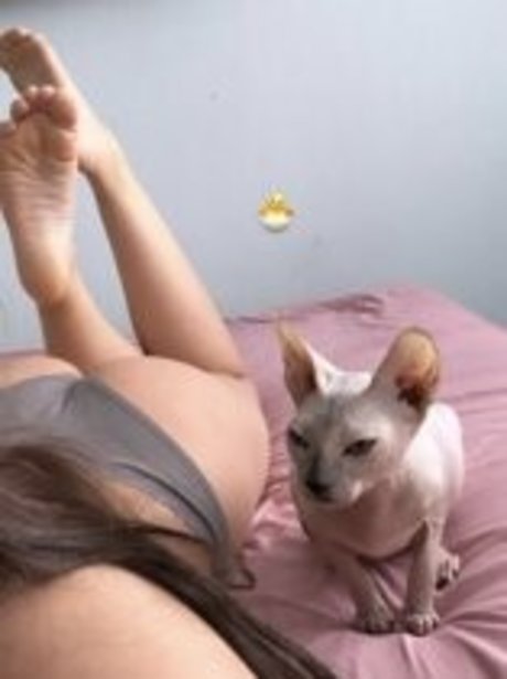 Soska 117 pornstar free gallery