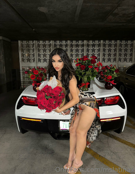 mslatinax pornstar erotic gallery