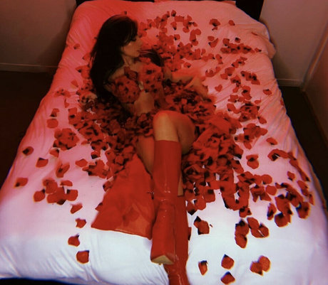 vindylou art model image