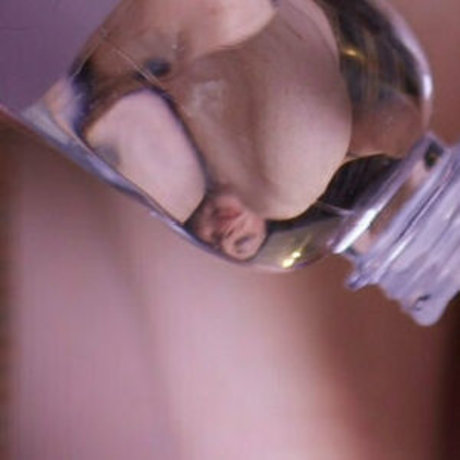 goddessfendi pornstar beautiful gallery