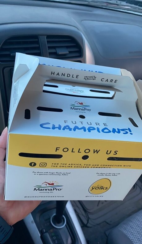 vixenshelbyfree free model pictures